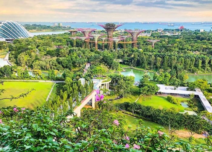 SingaporeGardensbytheBayandMarinaBaySandsWalkingTourwithSeafoodLunchDinnerTour